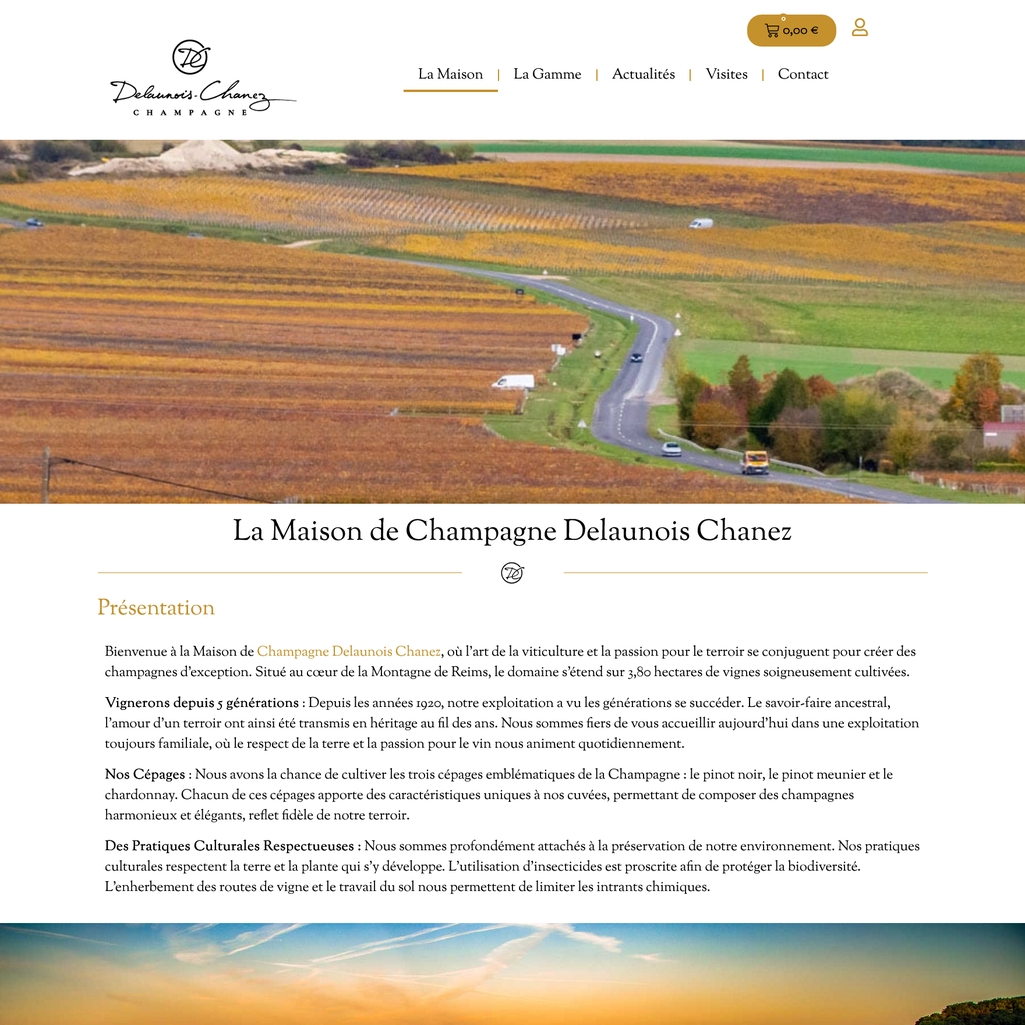 delaunoischanez-02